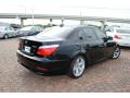 2008 5 Series 528i Sedan #5