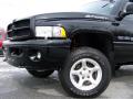 2001 Ram 1500 Sport Regular Cab 4x4 #2