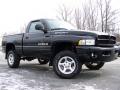 2001 Ram 1500 Sport Regular Cab 4x4 #7