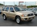 2004 Pathfinder SE #3