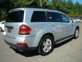 2008 GL 450 4Matic #5