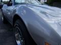 1973 Corvette Convertible #13