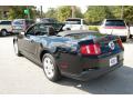 2010 Mustang V6 Convertible #20