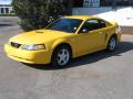 1999 Mustang GT Coupe #3