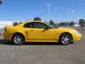 1999 Mustang GT Coupe #6