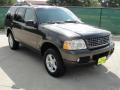 2005 Explorer XLT #1