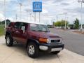 2008 FJ Cruiser 4WD #2