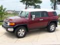 2008 FJ Cruiser 4WD #12