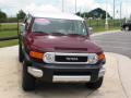 2008 FJ Cruiser 4WD #14