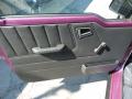 Door Panel of 1997 Geo Tracker Soft Top 4x4 #14