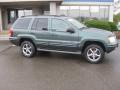 2002 Grand Cherokee Overland 4x4 #2