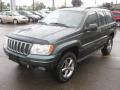 2002 Grand Cherokee Overland 4x4 #9