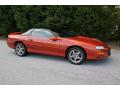 2002 Camaro Z28 SS 35th Anniversary Edition Coupe #8