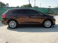 2010 Venza I4 #2