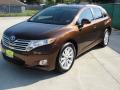 2010 Venza I4 #7