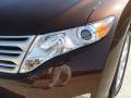 2010 Venza I4 #10