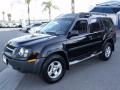 2004 Xterra  #3