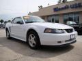 2002 Mustang V6 Convertible #2