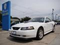 2002 Mustang V6 Convertible #4