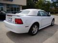 2002 Mustang V6 Convertible #8