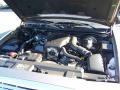 2003 Crown Victoria LX #9