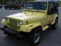 1990 Wrangler Islander 4x4 #2