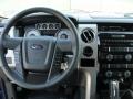 2010 F150 FX2 SuperCrew #25