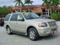 2005 Expedition Limited #1