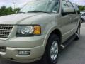 2005 Expedition Limited #14
