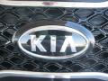 2011 Sorento SX V6 #28