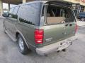 2001 Expedition Eddie Bauer #10