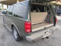  2001 Ford Expedition Trunk #11