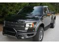2010 F150 SVT Raptor SuperCab 4x4 #5 2010 F150 SVT Raptor SuperCab 4x4 #5