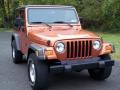 2001 Wrangler Sport 4x4 #5