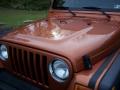 2001 Wrangler Sport 4x4 #18