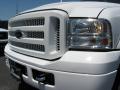 2007 F250 Super Duty XLT Crew Cab 4x4 Renegade #4