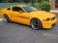 2008 Mustang GT/CS California Special Coupe #3