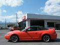 2004 Mustang GT Convertible #2