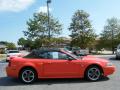 2004 Mustang GT Convertible #6