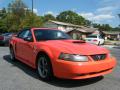  2004 Ford Mustang Competition Orange #7