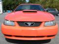 2004 Mustang GT Convertible #8