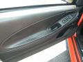 Door Panel of 2004 Ford Mustang GT Convertible #16