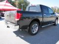 2011 Titan SL Heavy Metal Chrome Edition Crew Cab #4