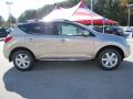 2010 Murano SL #6 2010 Murano SL #6