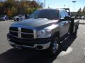 2010 Ram 3500 SLT Crew Cab 4x4 Chassis #6