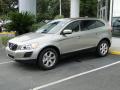  2011 Volvo XC60 Seashell Metallic #1