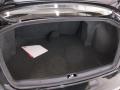  2011 Mitsubishi Lancer Trunk #20