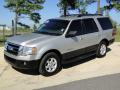 Front 3/4 View of 2007 Ford Expedition XLT #10