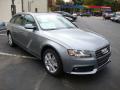  2011 Audi A4 Quartz Grey Metallic #4