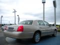 2010 Town Car Continental Edition #3